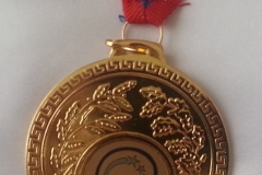 Медаль-Летней-школы-Наноград-2015